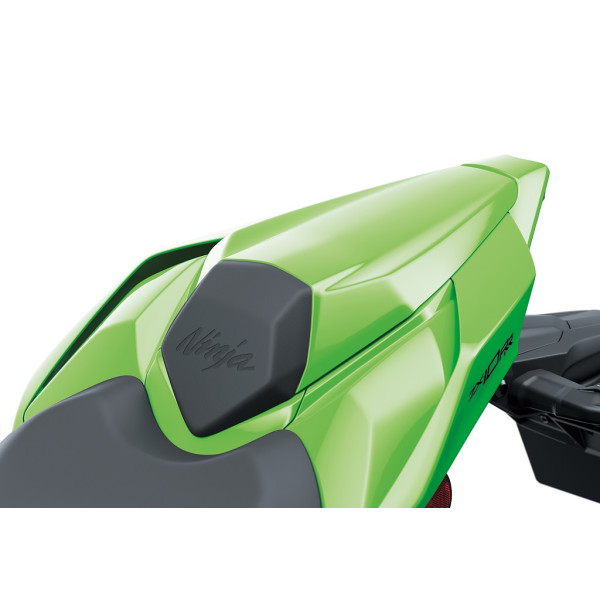 Kawasaki Pillion seat cover ZX-10R